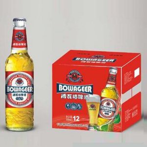 恒創動力博瓦特啤酒紅標500mlx12