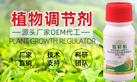 鄭州中科化工產品有限公司