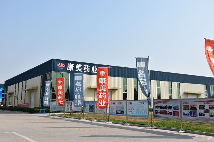 山東康美藥業(yè)有限公司.jpeg