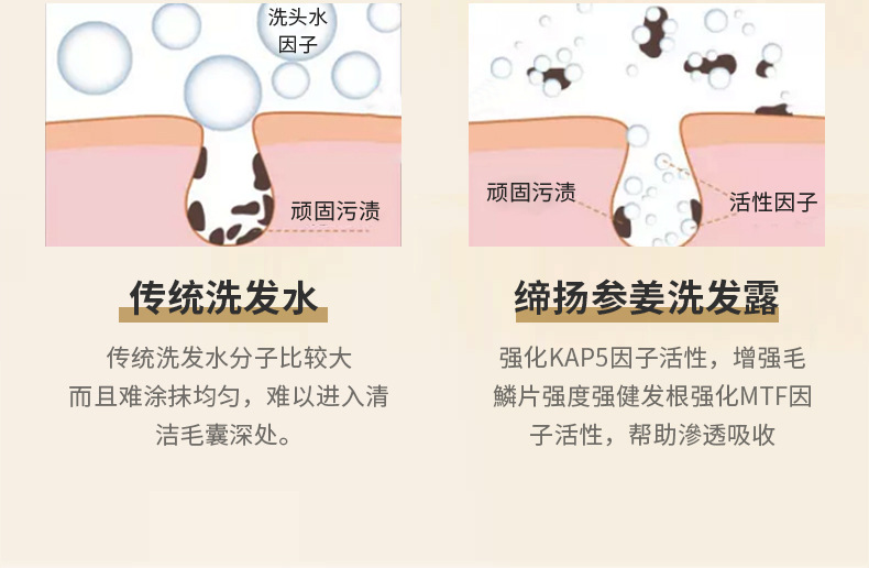 去屑柔順洗發露深層潔凈蓬松改善頭皮止癢持久留香洗發水 (5).jpg