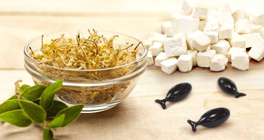 金銀花茯苓凝膠糖果代加工工廠,你需要知道這些