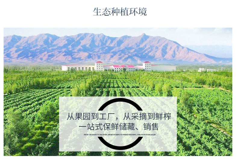 康樂多不老莓原漿貼牌代加工定制,嚴格把控產品品質