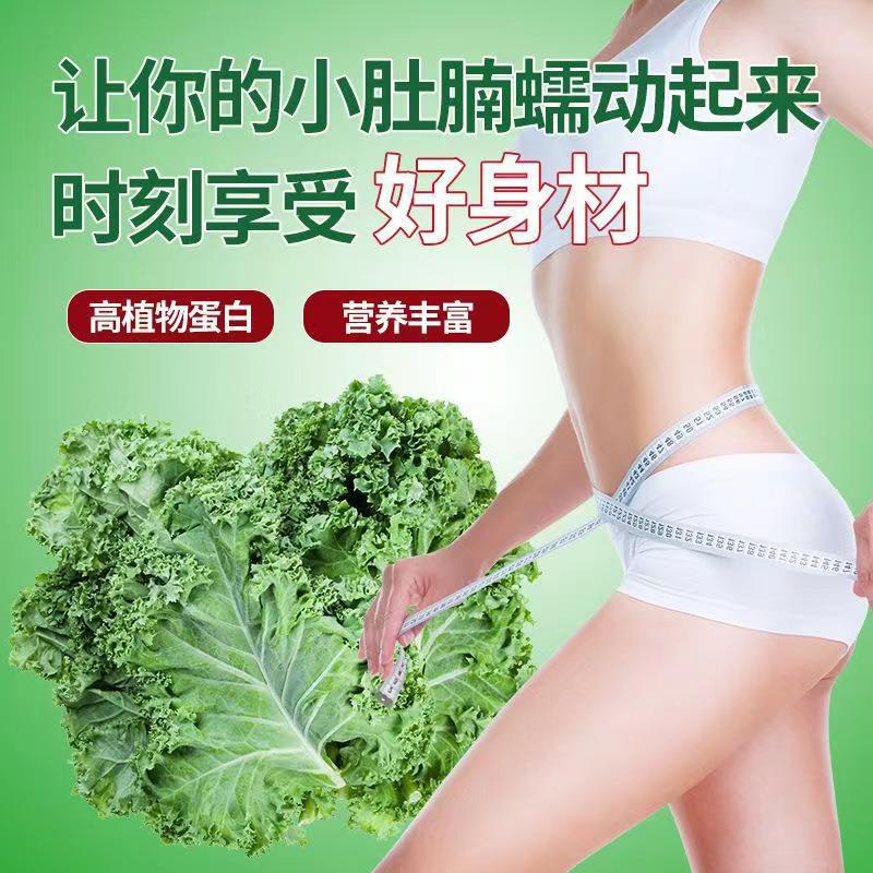 羽衣甘藍粉3g 15條盒裝青汁固體飲料一件代發抖音快手果蔬酵素粉2.jpg