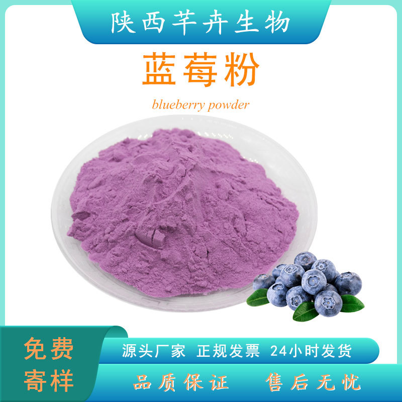 藍(lán)莓粉食品級 藍(lán)莓提取物 水溶藍(lán)莓果粉 藍(lán)莓汁 濃縮粉 廠家現(xiàn)貨.jpg