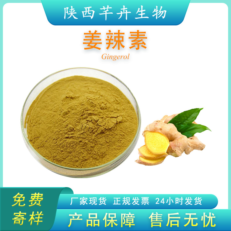 姜辣素 5%多規格 食品級 生姜提取物 姜酚 姜辣素粉原料 廠家包郵.jpg
