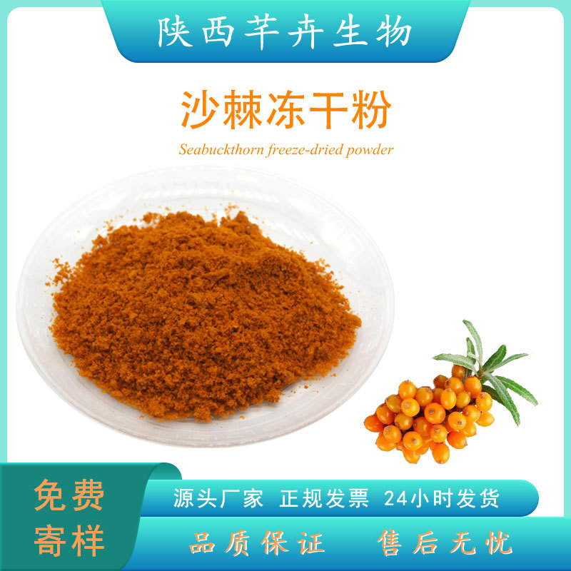 沙棘凍干粉99% 沙棘果提取物 食品級沙棘鮮果粉 冷凍干燥100g包郵.jpg