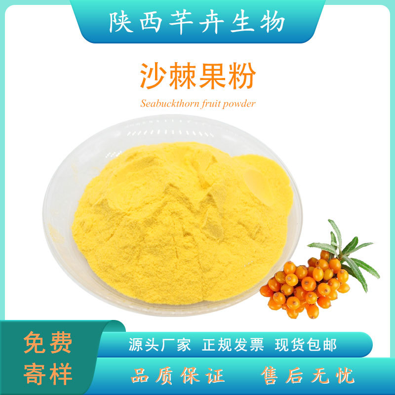 沙棘粉99% 沙棘噴霧粉 水溶沙棘果粉 沙棘提取物 廠家現貨1KG包郵.jpg