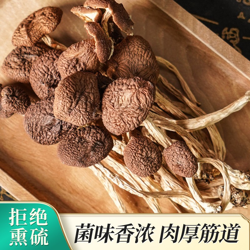 廠家現貨茶樹菇干貨批發家用商用煲湯炒菜袋裝干茶樹菇一件代發.jpg