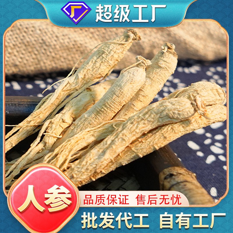OEM加工定制山參干人參批發(fā)火鍋煲湯泡酒無熏硫整枝生曬參代發(fā).jpg