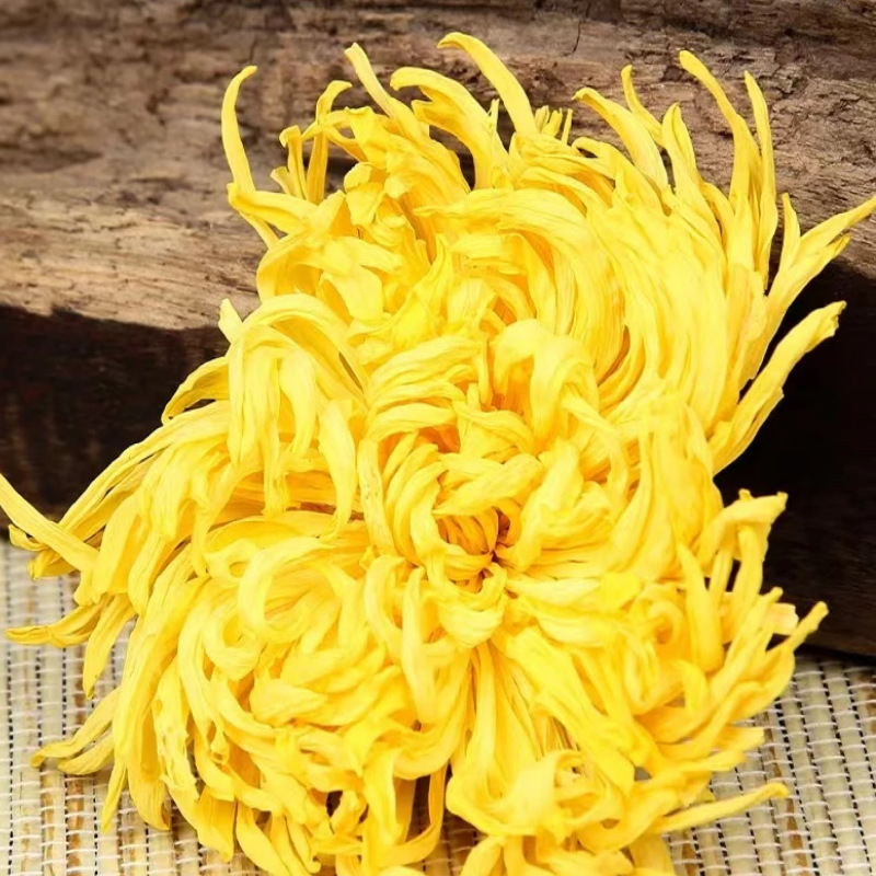 菊花茶茶葉金絲皇菊焦作特產菊花黃菊大朵創源堂廠家批發1.jpg