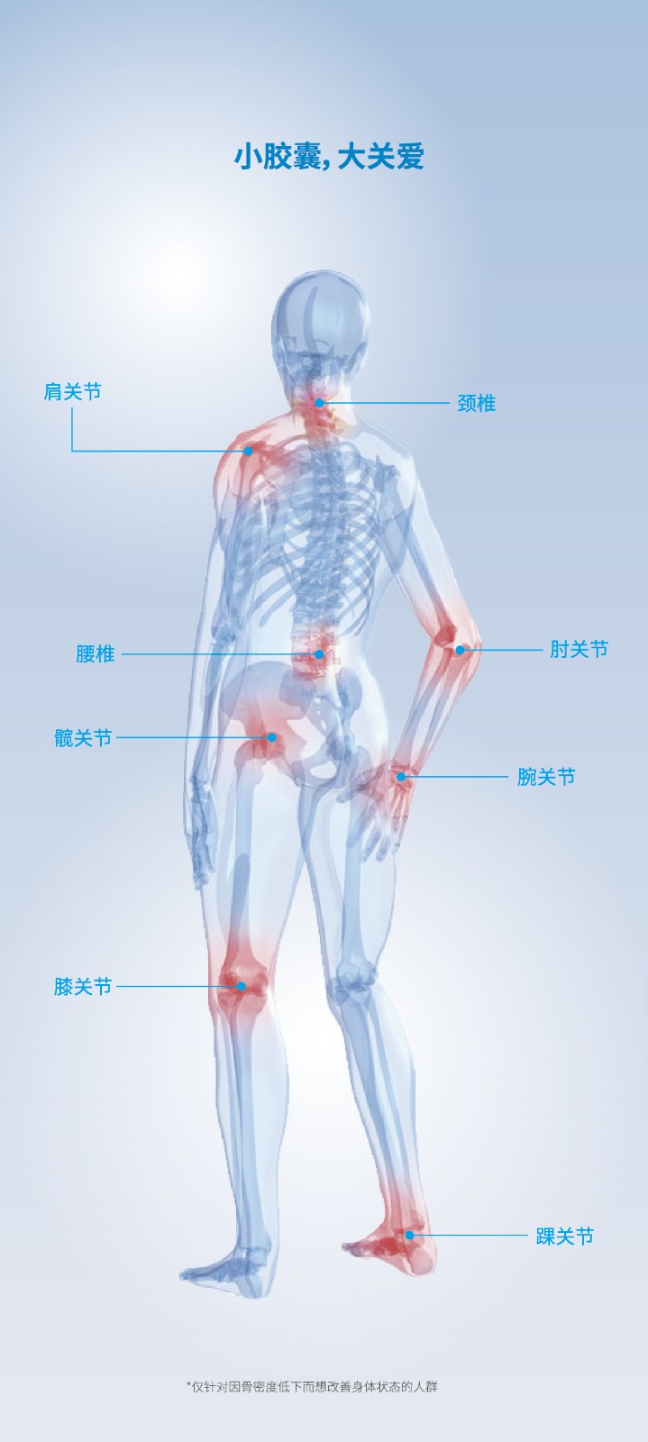 優(yōu)一牌氨糖硫酸軟骨素鈣膠囊oem代加工,免費打樣