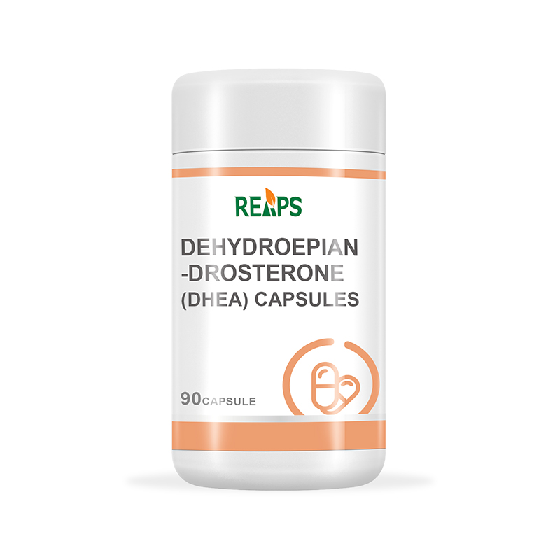 脫氫表雄酮（DHEA）膠囊.jpg