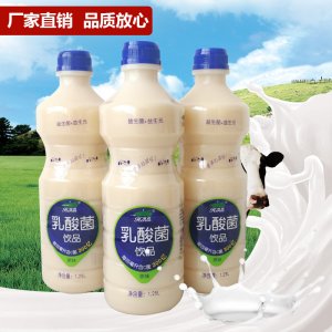 荷潤(rùn)乳酸菌飲品1.25L代加工貼牌OEM/ODM