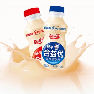 乳酸菌原味風味酸奶飲料OEM代加工