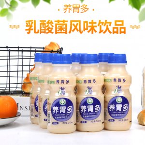 養胃多乳酸菌340毫升x12瓶原味牛奶飲品貼牌OEM/ODM