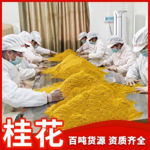 金之粟桂林花果茶/ODM定制代加工