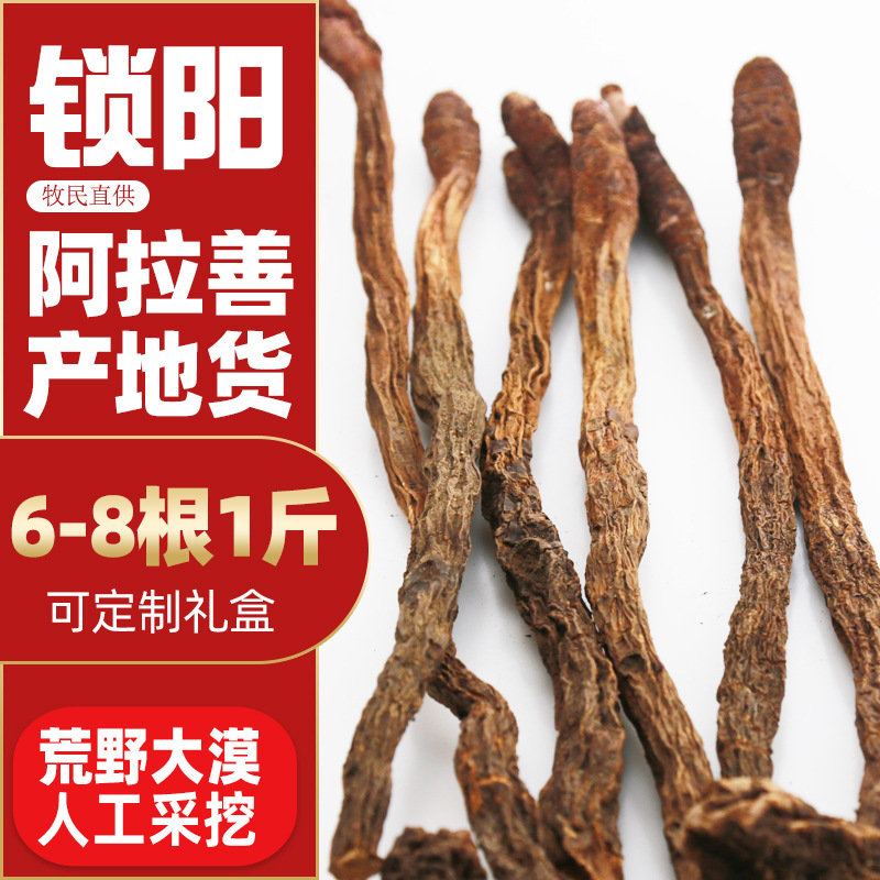 金鎖陽OEM/ODM代加工