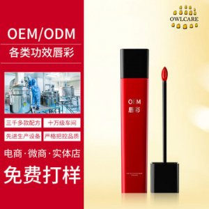 網(wǎng)紅熱推不沾杯唇彩豐唇蜜 加工定制貼牌OEM/ODM