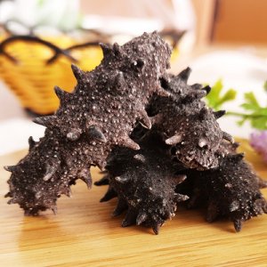 深海野生大連刺參遼參OEM代加工