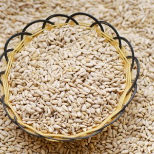 去殼瓜子香酥烘焙原料貼牌定制代加工