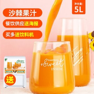 甘肅艾康沙棘制品有限公司