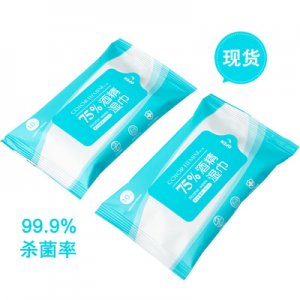 辦公清潔殺菌濕巾10抽袋裝 代加工貼牌OEM/ODM