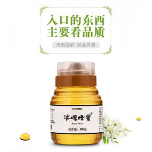 槐花洋槐蜜500g可OEM/ODM代工