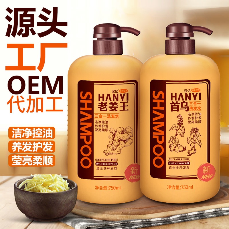首烏生姜洗發(fā)露OEM加工定制代加工貼牌OEM/ODM