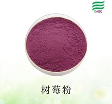 樹莓粉代加工貼牌OEM/ODM