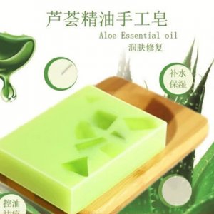 廣州市海素蘭生物科技有限公司