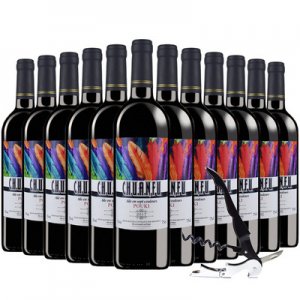 山東凱士圖酒業有限公司