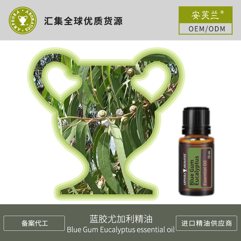 藍膠尤加利精油OEM/ODM定制代加工