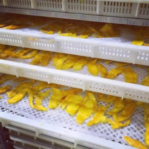 500克芒果干散裝貼牌定制代加工