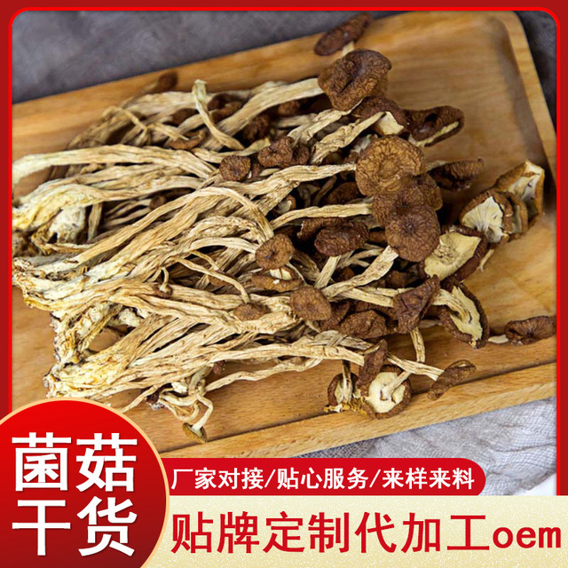 茶樹菇食用菌菇OEM代加工