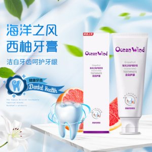 海洋之風(廣州)口腔護理用品有限公司