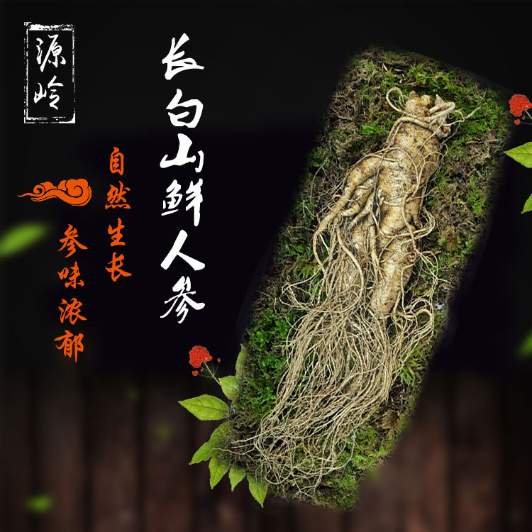 長白山鮮人參單枝OEM/ODM定制代加工