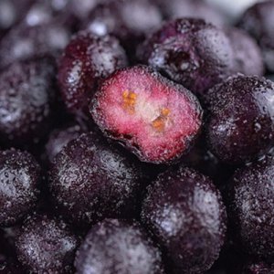 速凍水果藍(lán)莓鮮水果OEM代加工