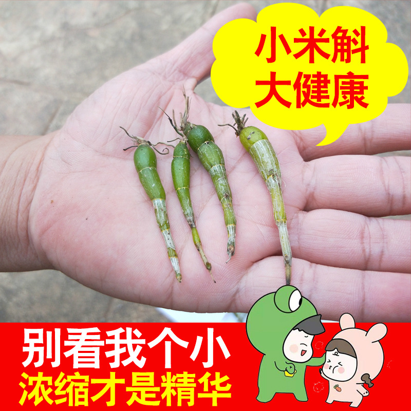 5年霍山石斛OEM/ODM定制代加工