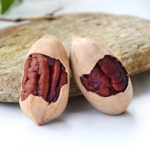 山東皓雅食品科技有限公司