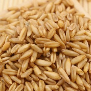 快熟燕麥片五谷雜糧燕麥米OEM/ODM代加工