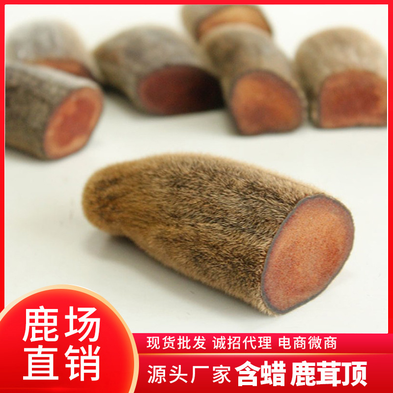 梅花鹿皮干鹿茸片鹿茸頭頂嘴頭OEM/ODM代加工