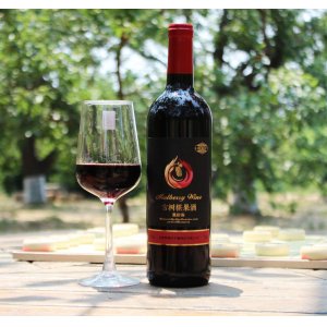 紅紫桑葚酒OEM/ODM定制代加工