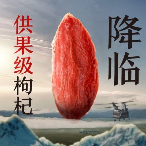 源鑫堂產(chǎn)地 枸杞 OEM/ODM定制代加工
