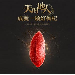 紅枸杞500g 貼牌定制代加工