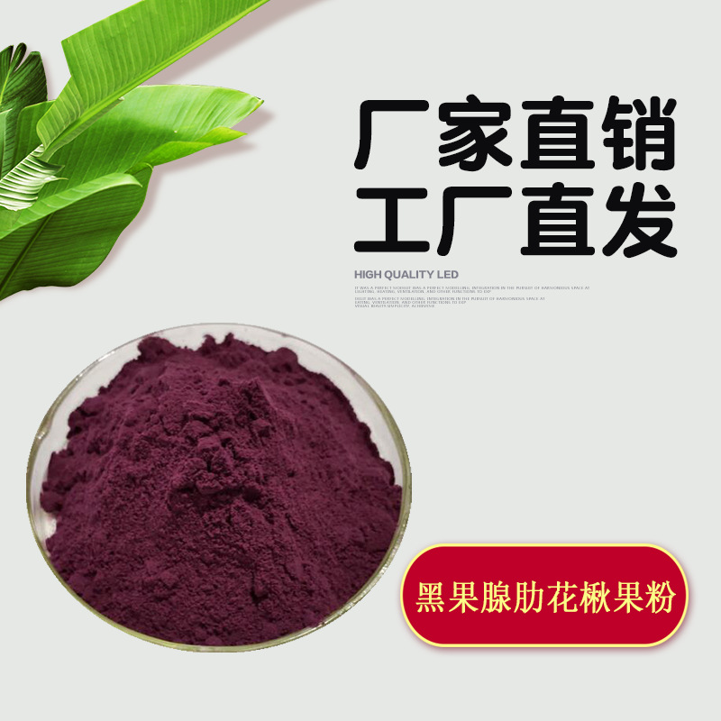 黑果腺肋花楸果粉OEM/ODM定制代加工