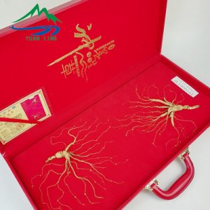 吉林省源嶺參茸有限公司萬良分公司