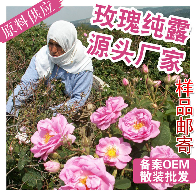 惠農玫瑰 玫瑰純露原料罐裝OEM/ODM代加工