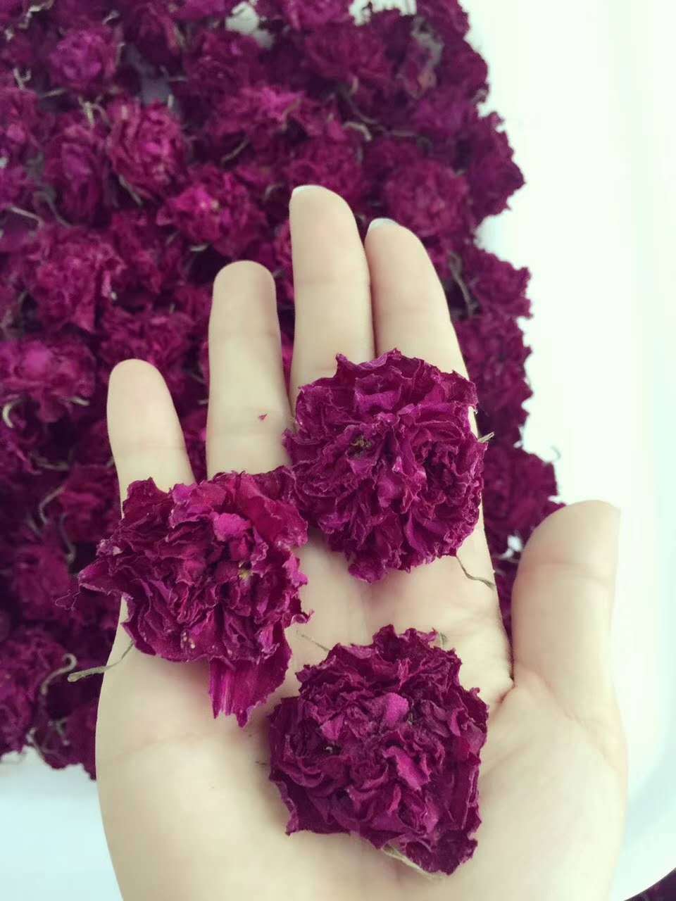 花冠茶半開花冠茶OEM代加工