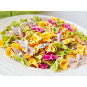 散裝多味蝴蝶面 兒童面條營養輔食五彩果蔬面蔬菜面條可OEM/ODM代工