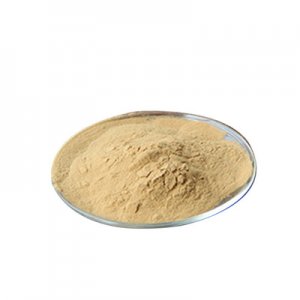 雞腿菇子實體提取物OEM/ODM代加工